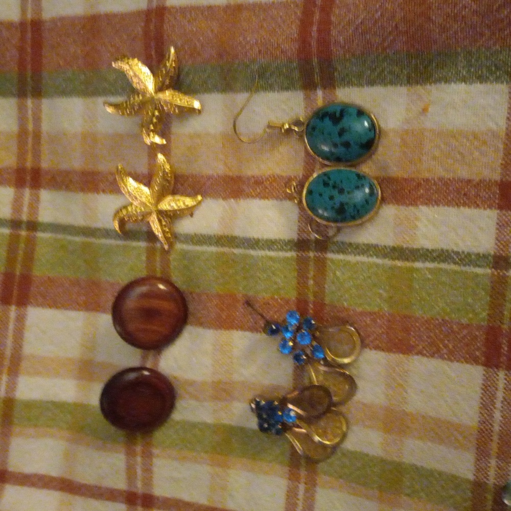 Bundle of Pierced Earrings